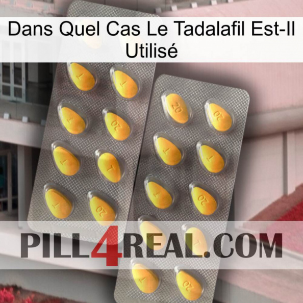 Dans Quel Cas Le Tadalafil Est-Il Utilisé cialis2.jpg